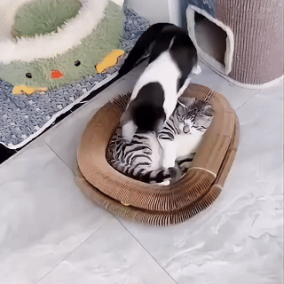 Patigoo™ Akıllı Kedi Oyun Tüneli ve Tırmalama Yatağı