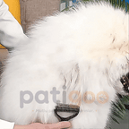 Patigoo™ Çift Taraflı Tüy Toplama Tarağı