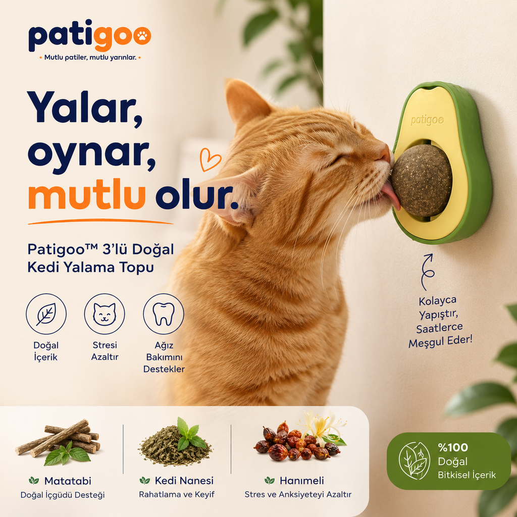 Patigoo™ 3'lü Kedi Avokado Topu