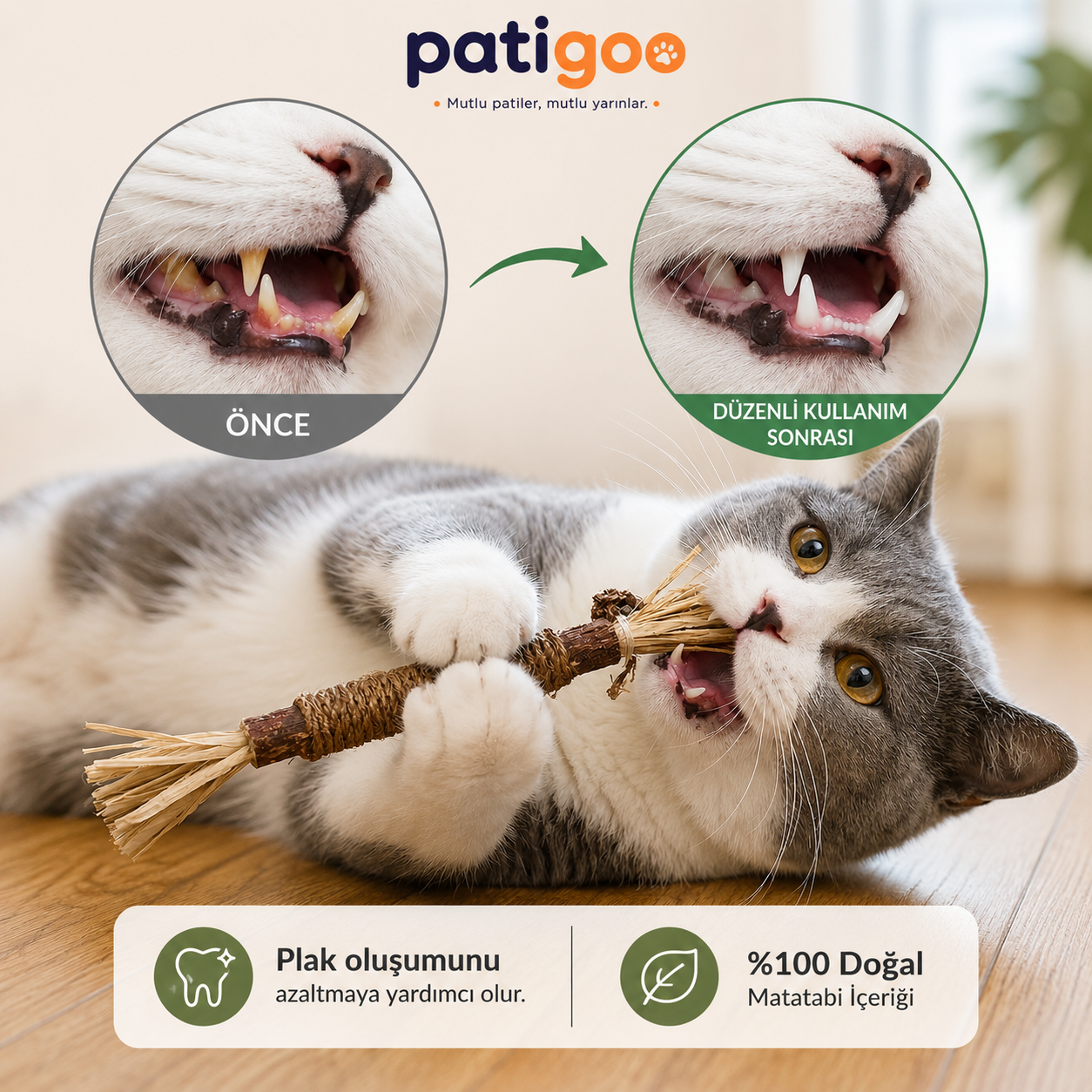 Patigoo™ Matatabi Kedi Diş Temizleme Oyuncağı