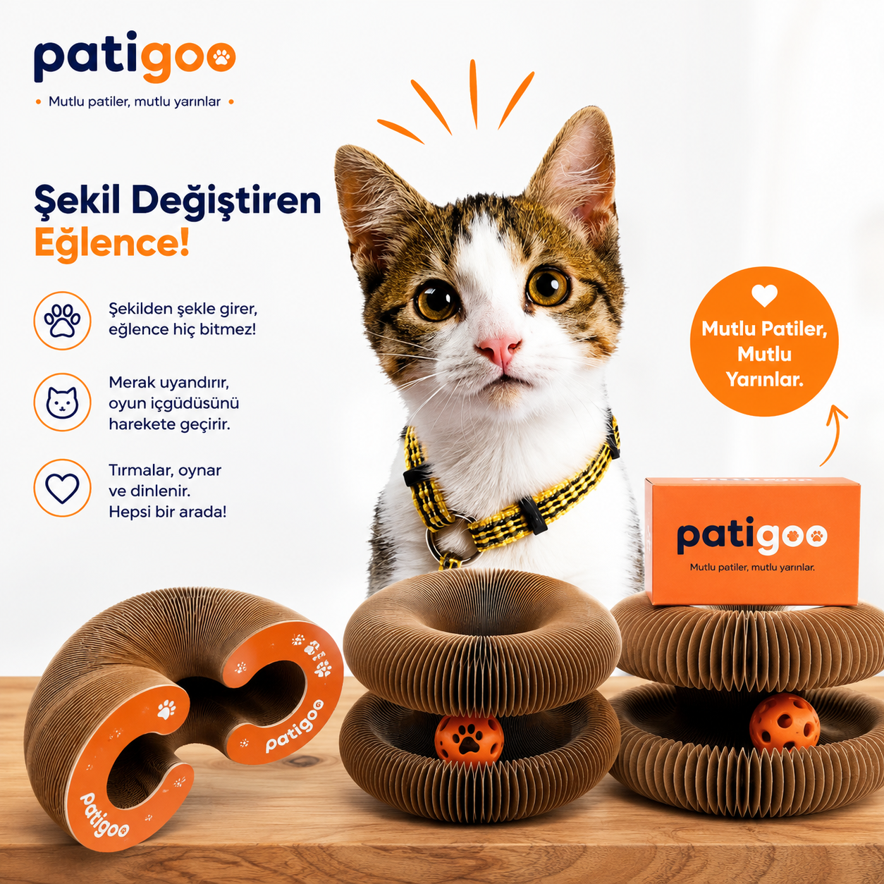 Patigoo™ Akıllı Kedi Oyun Tüneli ve Tırmalama Yatağı