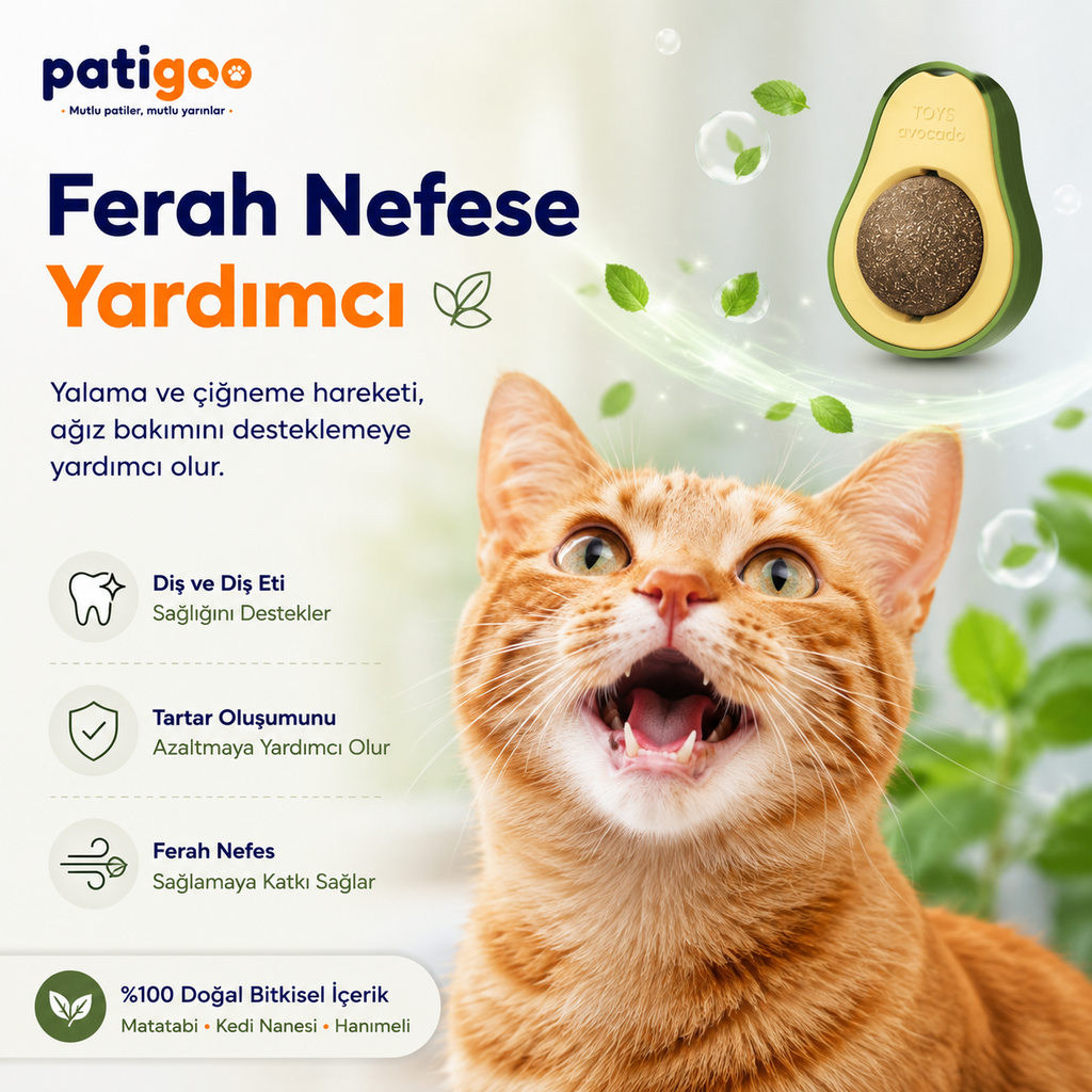 Patigoo™ 3'lü Kedi Avokado Topu