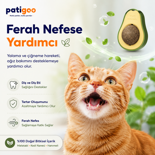 Patigoo™ 3'lü Kedi Avokado Topu