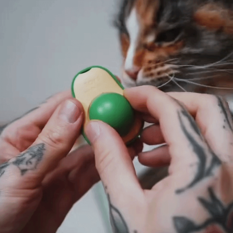 Patigoo™ 3'lü Kedi Avokado Topu